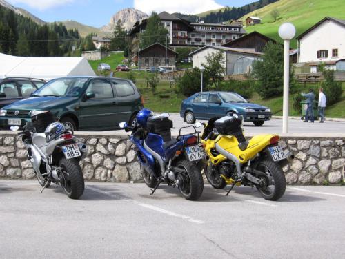 Gross-schotten-2006-357