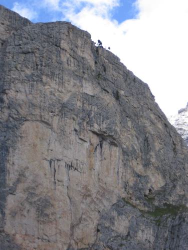 Gross-schotten-2006-358