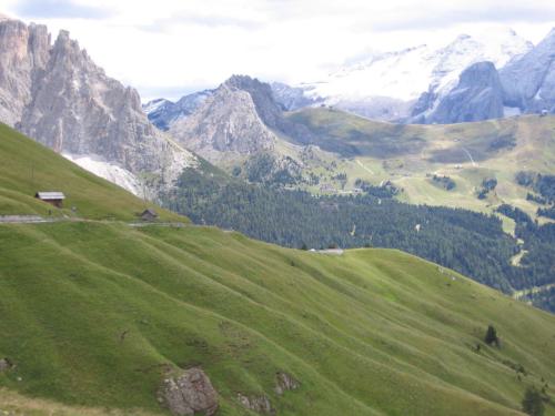 Gross-schotten-2006-363