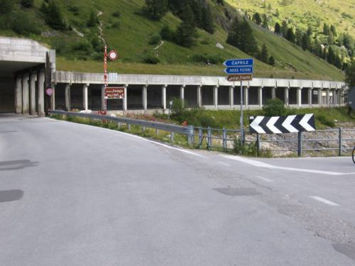 Gross-schotten-2006-370