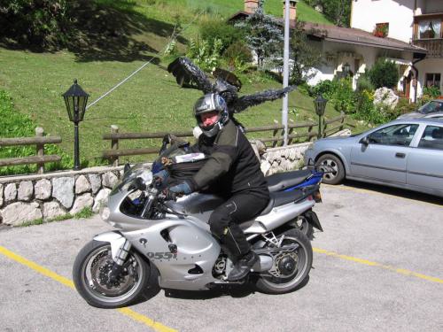 Gross-schotten-2006-372