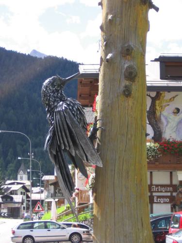 Gross-schotten-2006-375