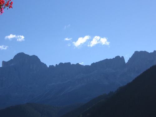 Gross-schotten-2006-383