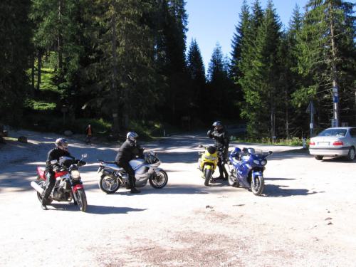 Gross-schotten-2006-384