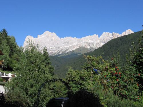 Gross-schotten-2006-394