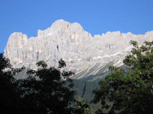 Gross-schotten-2006-396