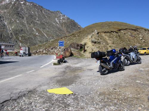 Gross-schotten-2006-398