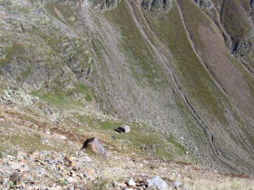 Gross-schotten-2006-409