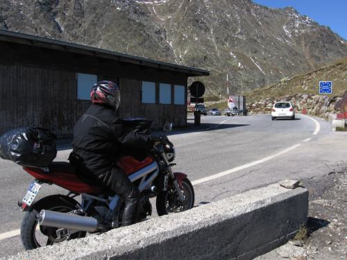 Gross-schotten-2006-412