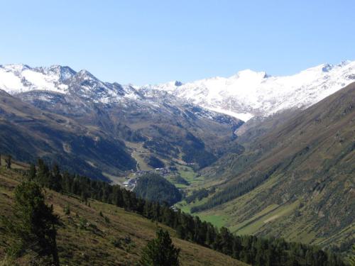 Gross-schotten-2006-415