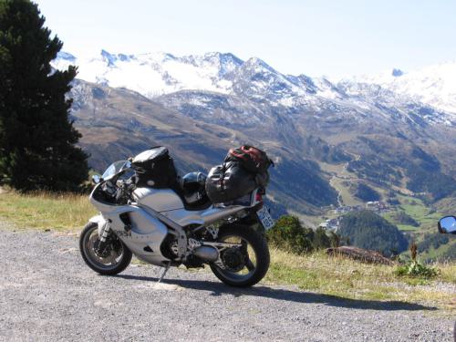 Gross-schotten-2006-416