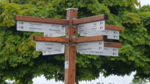 Gross-20170715 105744