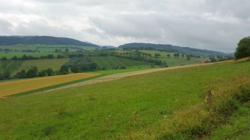 Gross-20170715 114346