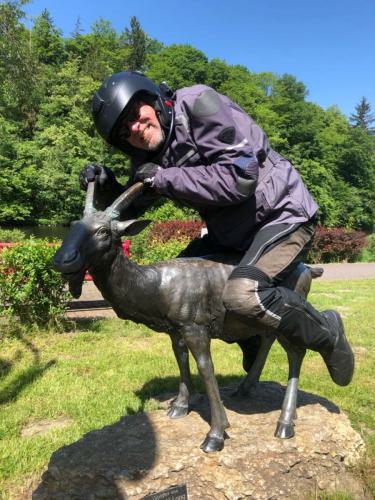 Gross-1acc3b40-55d2-4ddb-bb6a-ab9c9b14ab2c