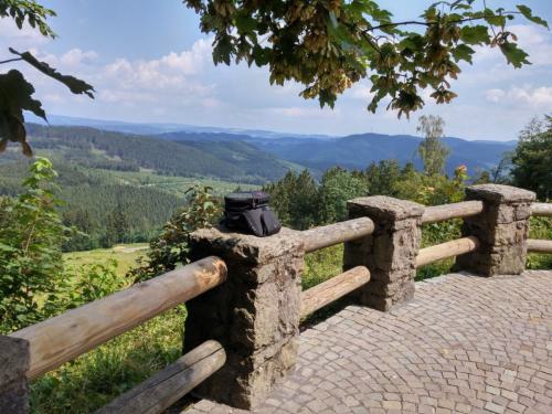 Gross-Sauerlandrun-2018 155