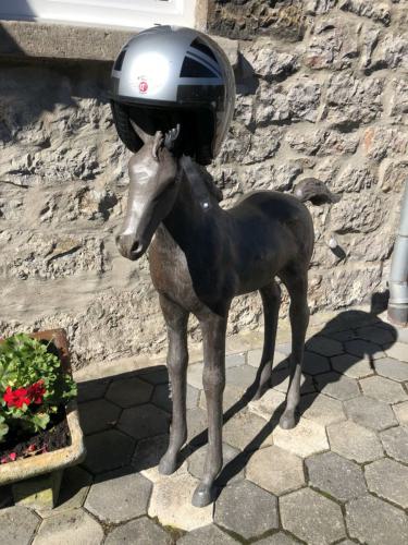 Gross-Sauerlandrun-2018 239