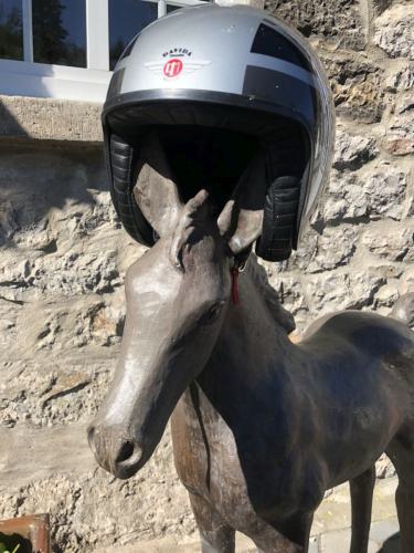 Gross-Sauerlandrun-2018 240