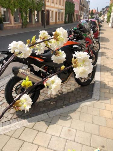 Gross-IMG-20180519-WA0023