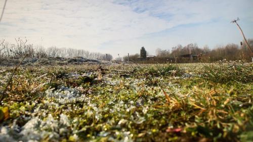 Gross-0718425E-28FF-4F3A-9DE3-3C4EC54E7754