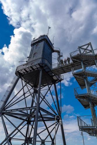 Gross-91448dd8-969a-42c0-b8e7-7c61ae96d25b