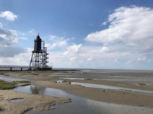 Gross-PHOTO-2020-08-29-21-12-48