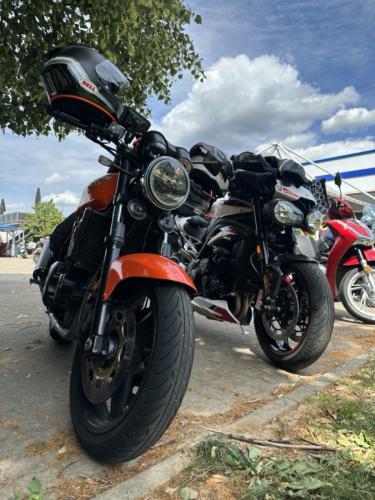 Gross-Gross-IMG 7302