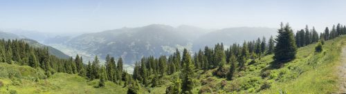 Gross-IMG 7512