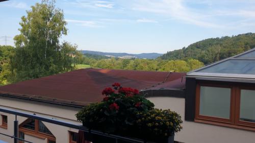 Gross-20240720 081544