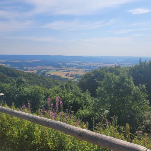 Gross-20240720 105115