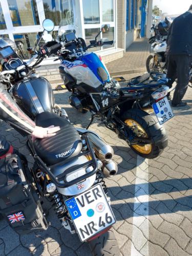 Gross-20240922 095845