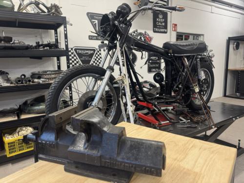 2024-12-28 Jahresabschluß TTC