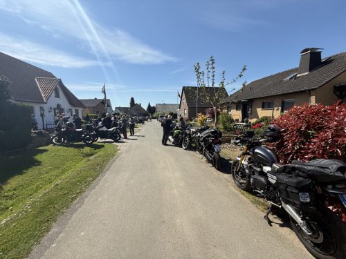 Gross-33-2025-03-15-0