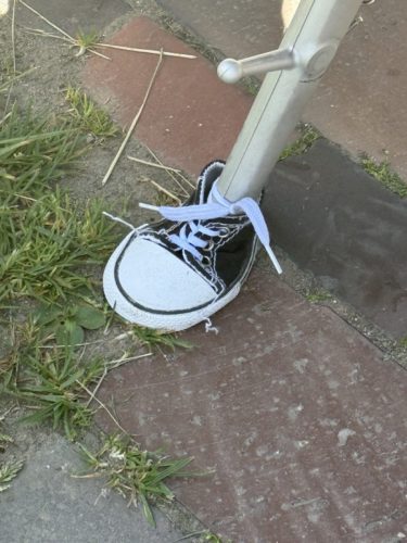 Gross-34-2025-03-15-0