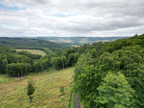 Gross-dji fly 20250726 101518 265 1753519822661 photo