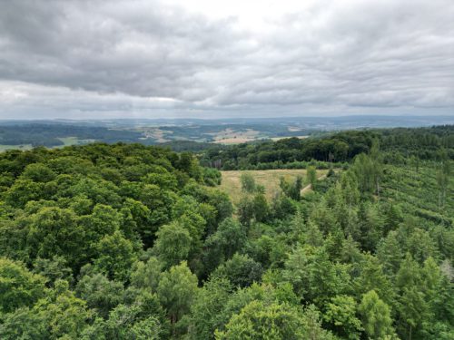 Gross-dji fly 20250726 101534 266 1753519822432 photo