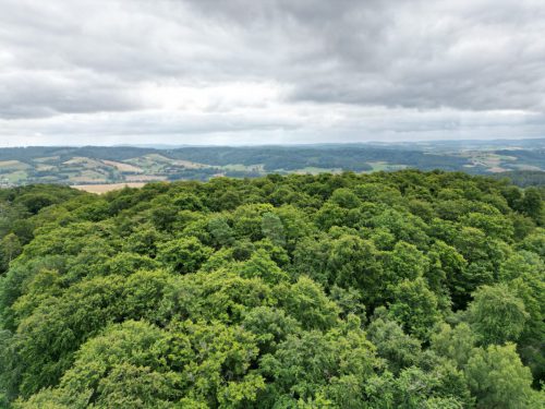 Gross-dji fly 20250726 101538 267 1753519822208 photo