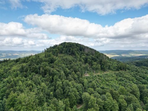 Gross-dji fly 20250726 101622 268 1753519821961 photo