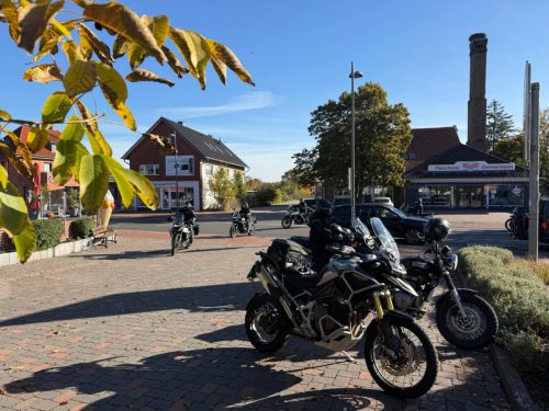 Gross-ac7dba41-ca6b-4ab3-9da8-cdfa9a814fab